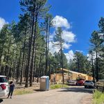 Wayne Rainey - @talltalltreesretreat - Instagram
