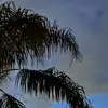 wayne rainey - @wayne.rainey5 - TikTok