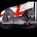 Wayne Ralph - Facebook