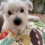 Wayne Christian Rasmussen - @wayne.rasmussen - Instagram