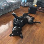 Wayne Rathwell - @rathwellwayne - Instagram