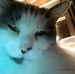 Wayne Rathbone - Facebook