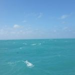 Wayne Raulerson - @raulersonwayne - Instagram