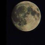 Wayne Rawson - @waynerawson516 - Instagram