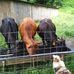 Wayne Rayburn - Facebook