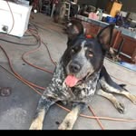 Wayne raymond - @wayneraymond4 - Instagram