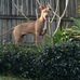 Wayne Read - Facebook