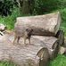 Wayne Read - Facebook