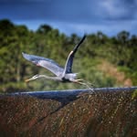 Wayne Redden - @reddenw1069 - Instagram