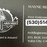 Wayne Redding - @reddingsarborist - Instagram