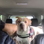 Wayne K Redick - @wayne.redick - Instagram
