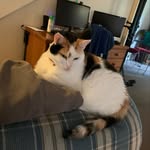 Wayne Redman - @redphantomxd - Instagram