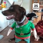 Wayne Redman Redders - @wayneredmanredders - Instagram