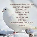 Wayne Reinert - @waynecreinert1962 - Instagram