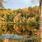 Wayne Renaud - @wayne.renaud.906 - Instagram