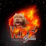 Wayne Reynolds - @wayne_w.d.f.bullies - Instagram