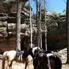 Wayne Reynolds - @wayne.reynolds3 - TikTok
