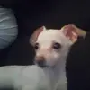 Wayne Reynolds - @wayne.reynolds90 - TikTok