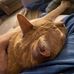 Wayne Resendes - Facebook