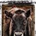 Wayne Rickard Photography - Facebook