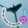 waynerickard187 - @waynerickard187 - TikTok