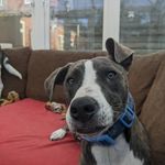 Wayne Ridley - @wayne.ridley.98 - Instagram
