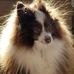 Wayne Riehl - Facebook