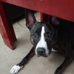 Wayne Rinehart - @rinehart.wayne - Instagram