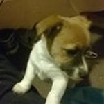 Wayne Roach - @roach2621 - Instagram