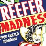 Wayne Robillard - @reeferottawa - Instagram