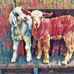 Wayne Rock - Facebook