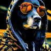 wayne - @waynerodgers26 - TikTok