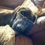 Wayne Rollinson - @rollinsonwayne - Instagram