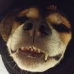 Roth Wayne - @rothwayne - Instagram