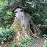 Wayne Roth - @wcroth45 - Instagram