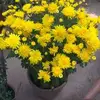 Nitin_Ghorpade - @wayne_rourkee - TikTok
