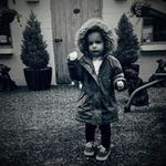 Wayne Royal - @wayne6927 - Instagram
