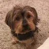 Wayne Rutherford - @wayne.rutherford - TikTok
