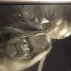 Dwayne Ryberg - @dwayne.ryberg - TikTok