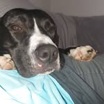 Wayne Salter - @salterwj - Instagram