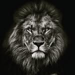 desativado - @wayne__santos - Instagram
