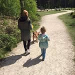 Wayne Savage - @savceltic7 - Instagram