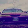 wayne - @waynesavage901 - TikTok