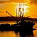 Wayne Schatz - Facebook