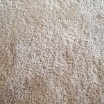 Wayne Schell - @schell1204 - Instagram