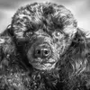 Wayne - @wayneschmitz2 - TikTok