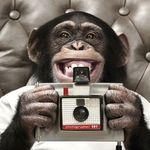 Wayne A. Schultz - @wayneschultz_photography - Instagram