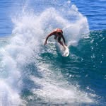 Wayne Schultz - @waynowhiskey - Instagram