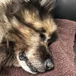 Wayne Schultz - @wschultz0622 - Instagram