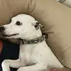 wayneschultz0 - @wayne.schultz29 - TikTok